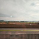 동백여행사