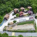 숲속의둥지 이미지