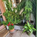 경희식당1호점 이미지