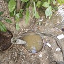 대내동010 이미지