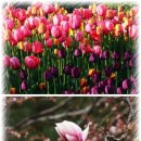 뉴-그린 공인중개사사무소 이미지