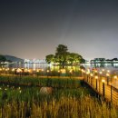 구지서로 이미지