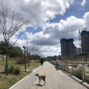 배*득