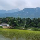 법조타운 이미지