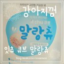 트릿츄잇 | 잇츄 말랑츄 - 노견과 소형견 덴탈껌으로 딱 좋아!