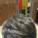 박찬순헤어