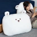 대왕침구