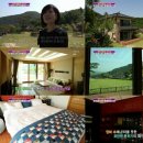 와인정원 TV리포트