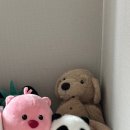 벗 노래연습장 이미지