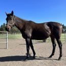 나우목장 이미지