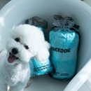 플러피독 이미지