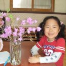 질울고래실마을 이미지