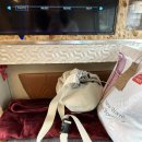 알로하 부띠크 호텔 이미지