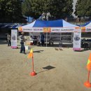 문흥중앙초 축제 (2025.10.29) 이미지