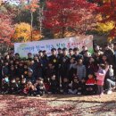 용인대 꿈누리 태권도 이미지