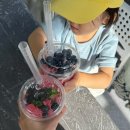 녹원농장 이미지