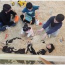 참사랑태권도 이미지