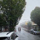 차사랑카&오일샵 | 호주 카툼바 음식점 마트 리쿼샵 아웃도어샵 후기 (치킨 익스프레스/울스워스 마트/캐링턴 셀러스 앤...