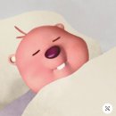나의 레이어드컷 정착기 💇🏻‍♀️ 당산 미용실 파니샵 후기