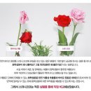 하이얀스킨케어