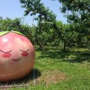 남면청소년문화의집 이미지