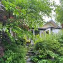 스테이오별 이미지