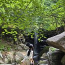 경남 하동 삼성궁 입장료 주차 팁, 지리산 삼성궁 6월 국내 여행지 추천!
