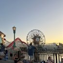 디즈니 인턴 2025 Disney Internship [교내면접&amp; 기관면접 후기] DSU(Delaware State University)