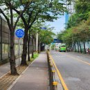 벚꽃로-1 이미지