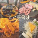 차원목장 | 종로 맛집 추천 익선동목장 이베리코 베요타 갈비살 솔직 후기