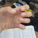 장현펜션 | [일상기록] 好きな季節はみじかいもので 気づかないうちにとけだしてゆく
