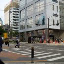 강남역 하루플란트 치과 - 스케일링 후기