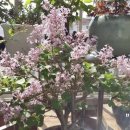 하계역(7호선) 이미지