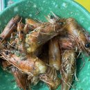 대하노래연습장 | 파주 야당 제철이네포차 내돈내산 후기｜대하구이부터 생새우회까지 솔직후기