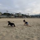 한영민박 이미지