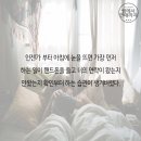 🍒🌻11월13일(월)앤방 출석하고 한주 스타뚜~~♡gogogo🍁🍁 이미지