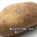 통일순대국