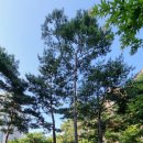 5.6호(1) 이미지