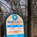 서울랜드 야외수영장 | 과천 서울랜드 자유이용권 공연까지! 서울랜드 종일권 할인 팁
