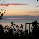 색소폰(야간) 이미지