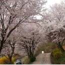 수신낚시터 이미지