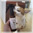 지디에프바이오 | [후기] 고양이 유산균 추천 - 가치두리 PET Step up 1