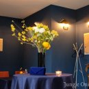 코코마리 이미지