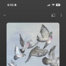 이탈리안피자 이미지