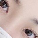아몬드 속눈썹