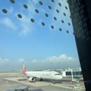 8월 제주 서쪽 실내 위주 여행 코스 1탄: 삼다도횟집 본점 가성비 갑