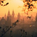 존재의 사랑 | 📖 《참을 수 없는 존재의 가벼움》 독서 후기