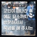 신재 | [이 주의 현진시닝 장례후기] 2024년 11월 2주
