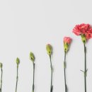 짐헥사곤 이미지