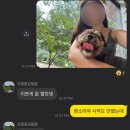 닥터김 동물병원 이미지